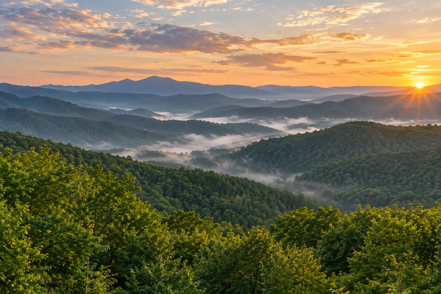 Forested mountain ridges and mist-filled valleys at sunrise